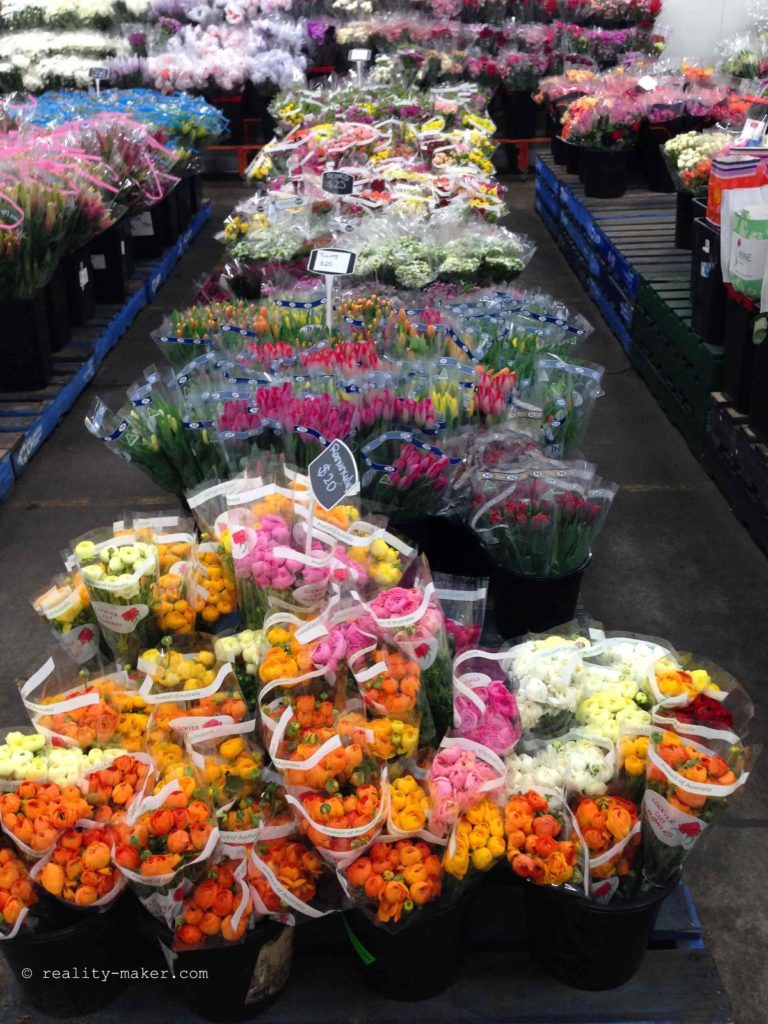 Цветочный рынок - Бризбен, Квинсленд, Австралия